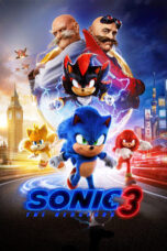 Nonton Movie Sonic the Hedgehog 3 (2024) Subtitle Indonesia