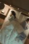 Nonton Movie Queen of Tears Season 1 Episode 3 Subtitle Indonesia